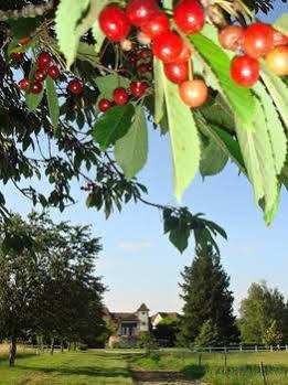 Domaine De Borie Chambres D'Hotes Bretenoux Dış mekan fotoğraf
